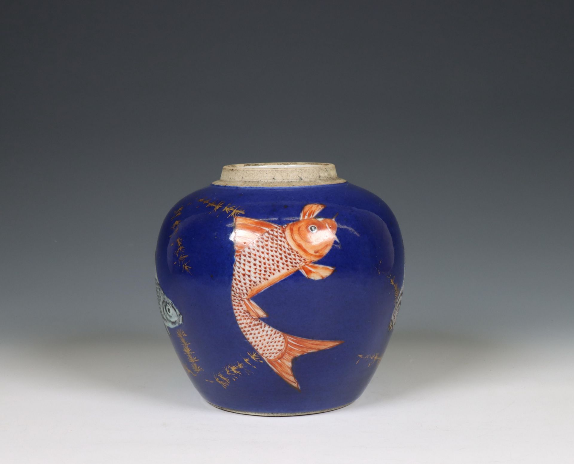 China, a powder-blue ground 'carp' jar, 19th century, - Image 7 of 7