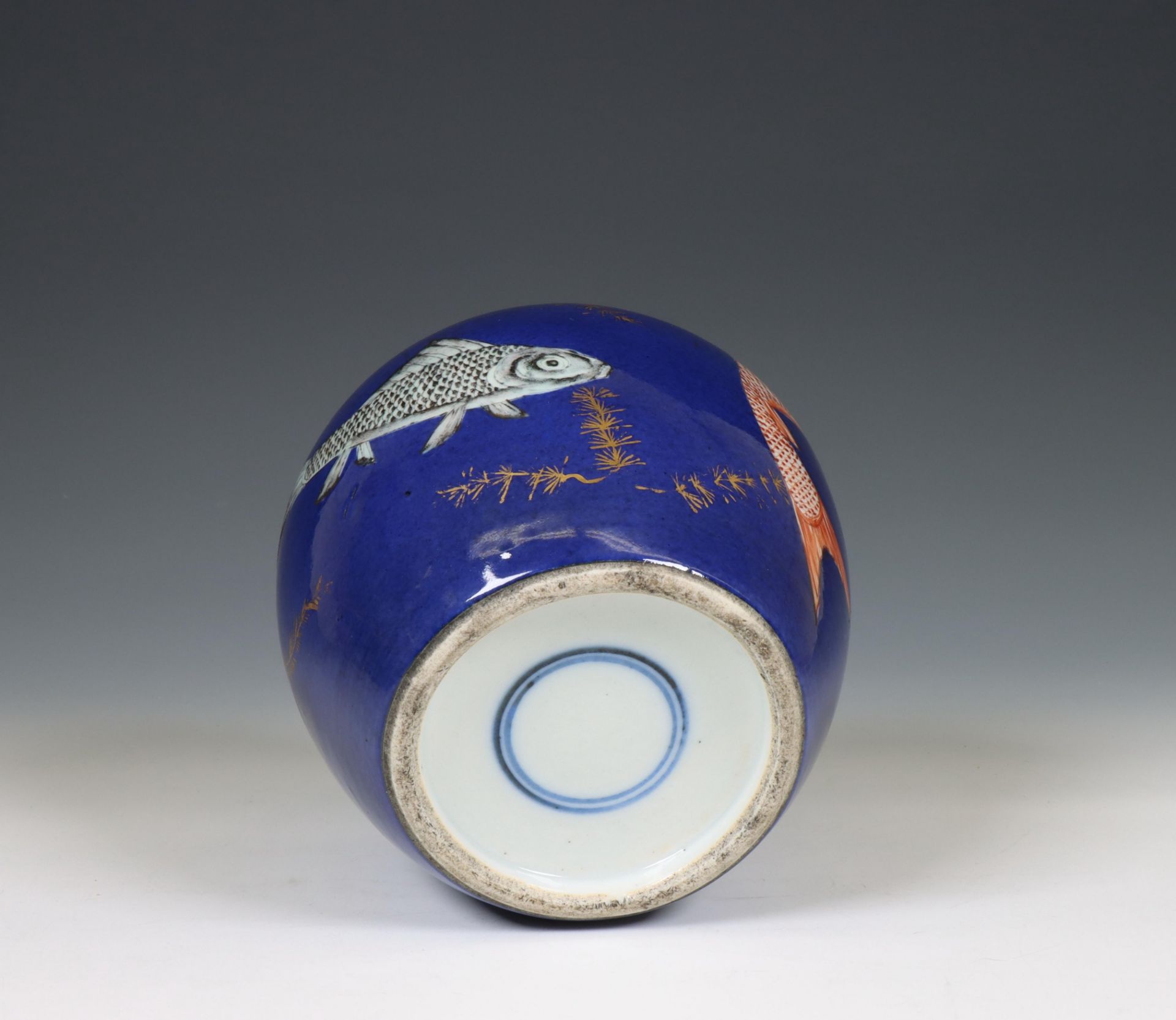 China, a powder-blue ground 'carp' jar, 19th century, - Image 5 of 7