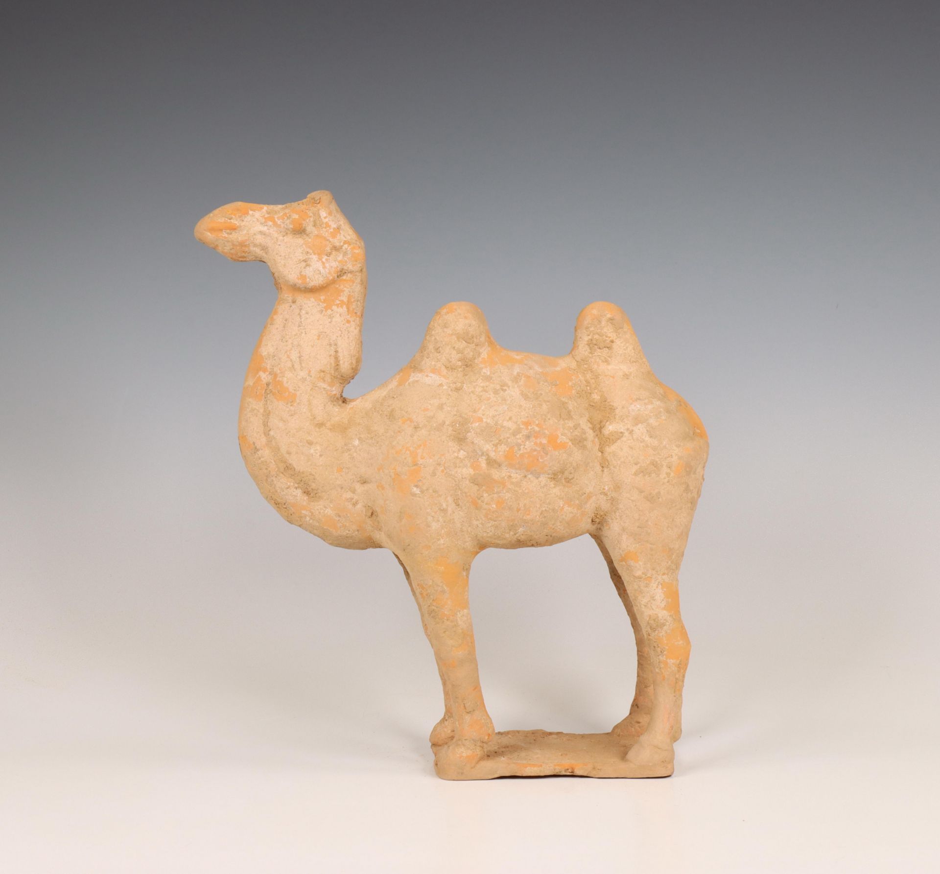 China, pottery model of a camel, probably Tang dynasty (618-906), - Bild 2 aus 6