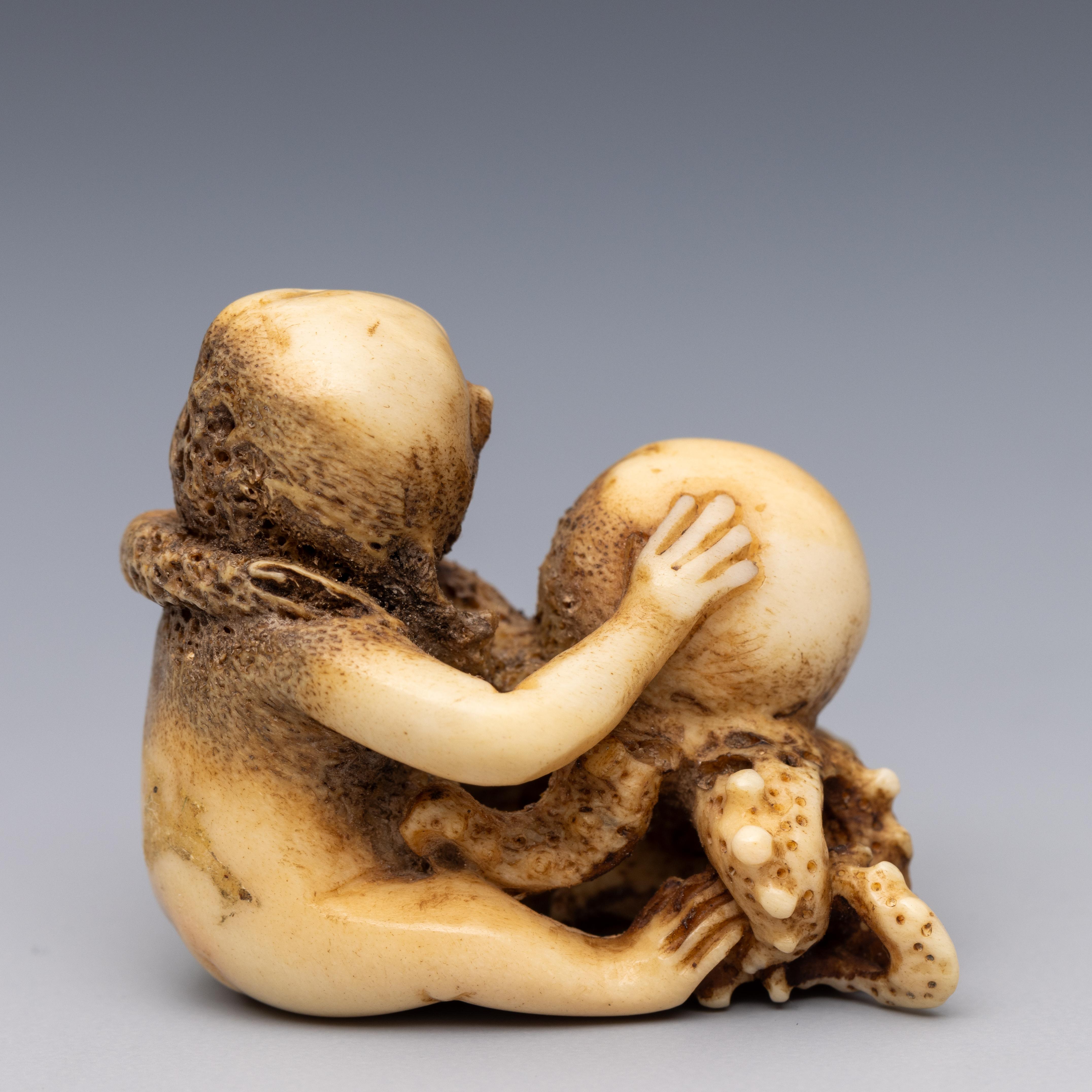 Japan, stag-hor netsuke,Meiji/Thaisho period; - Image 3 of 3