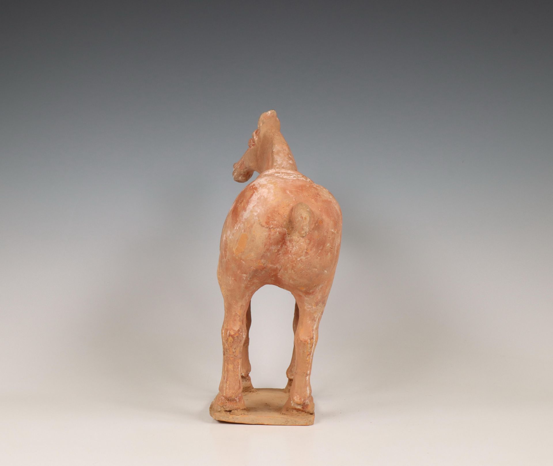 China, pottery model of a horse, probably Tang dynasty (618-906), - Bild 6 aus 6