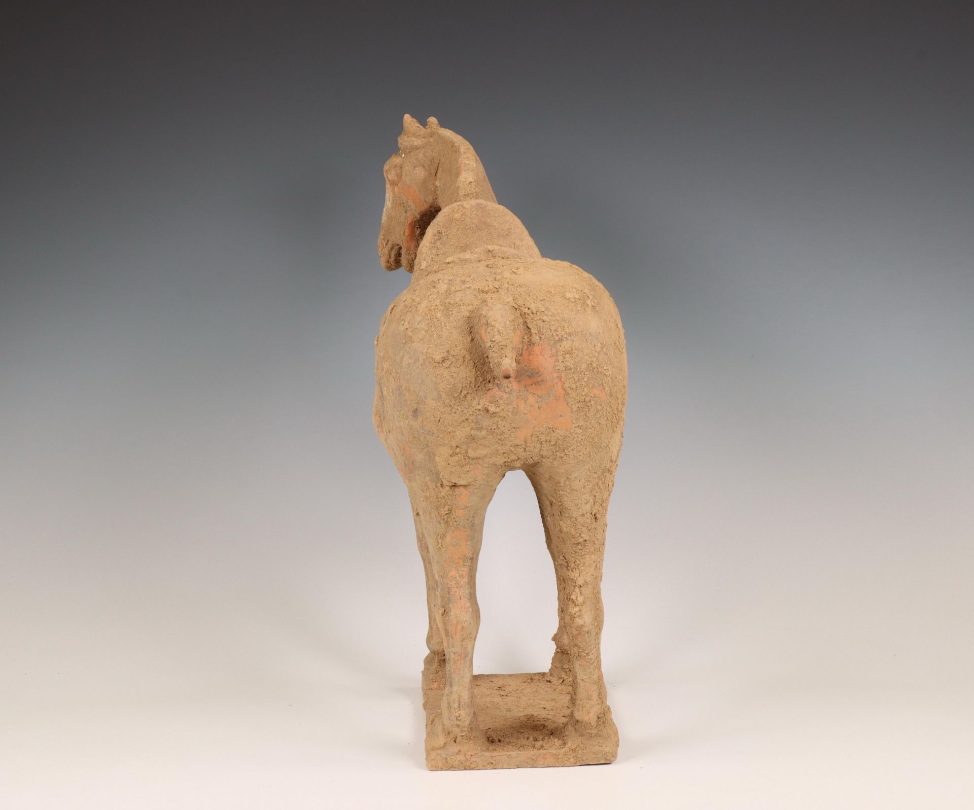 China, pottery model of a horse, probably Tang dynasty (618-906), - Bild 4 aus 4