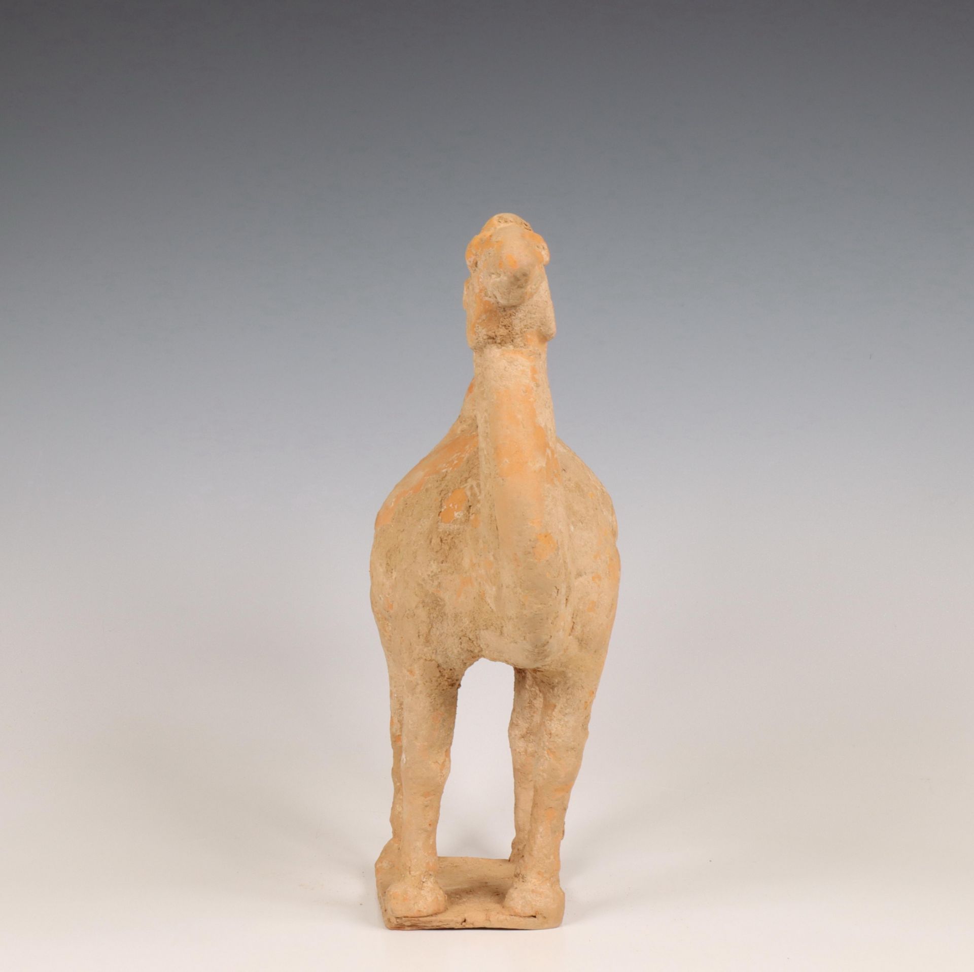 China, pottery model of a camel, probably Tang dynasty (618-906), - Bild 6 aus 6