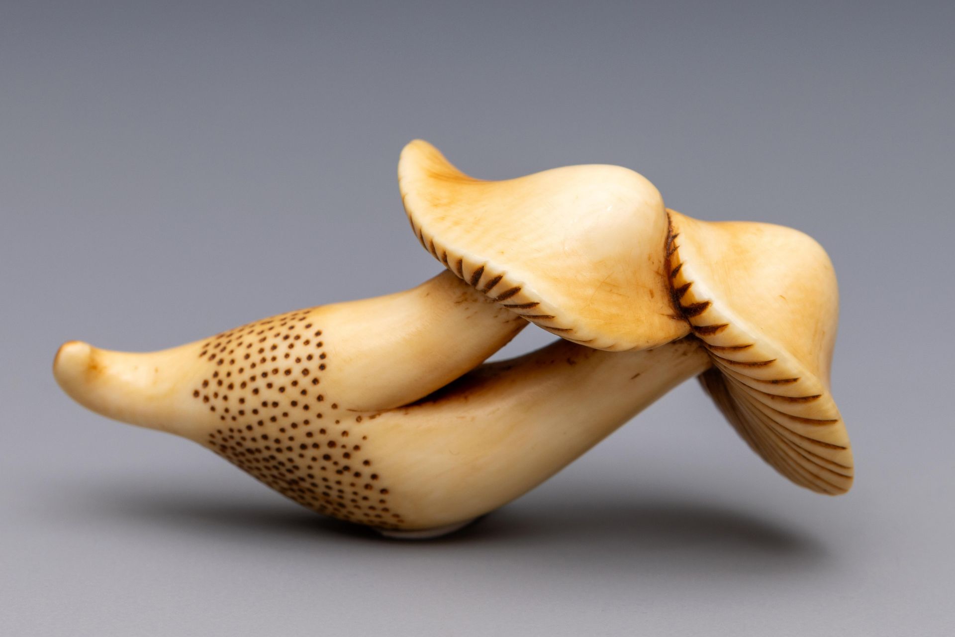 Japan, an ivory netsuke, Edo period (1603-1868), 19th century,