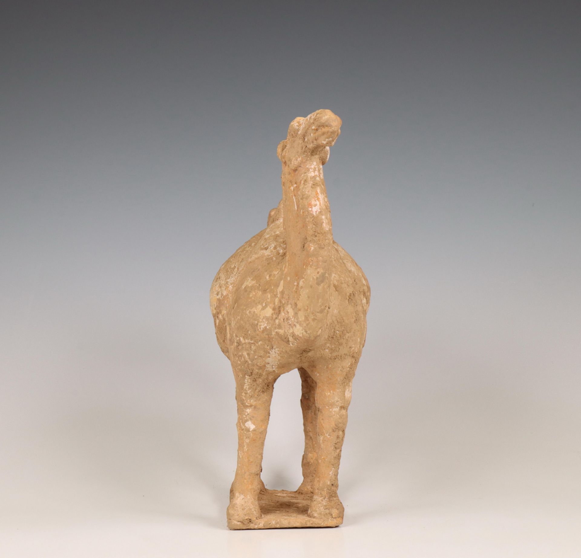 China, pottery model of a camel, probably Tang dynasty (618-906), - Bild 3 aus 6