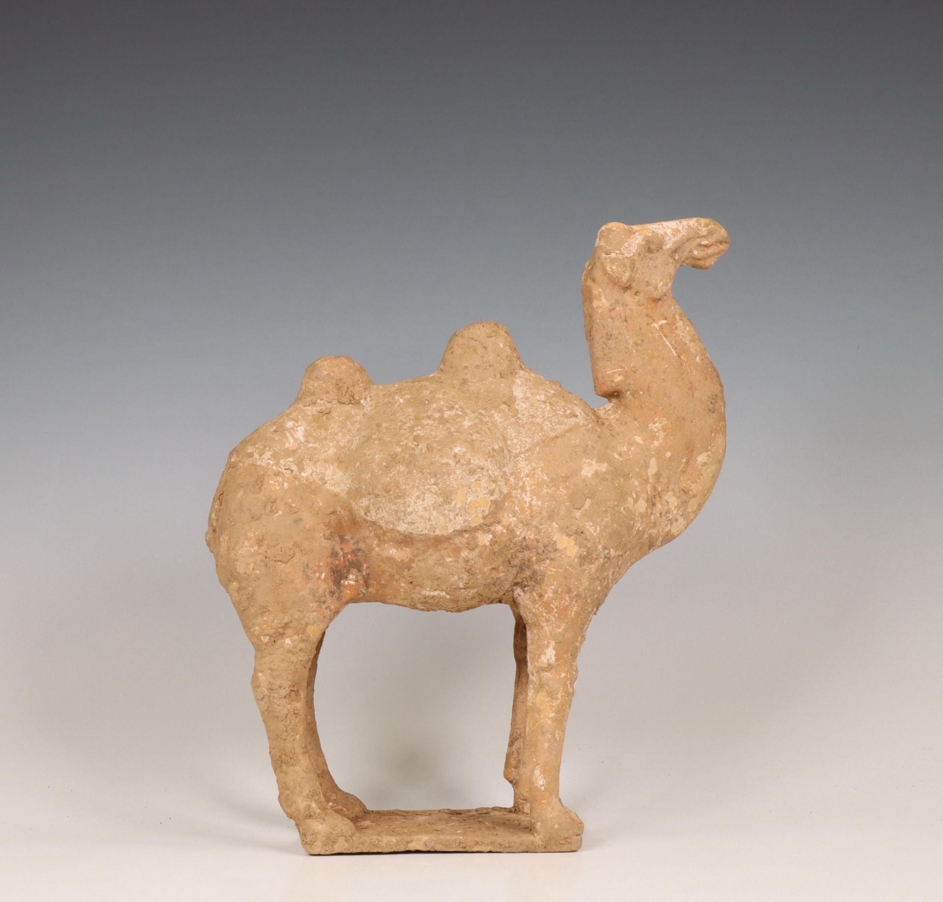 China, pottery model of a camel, probably Tang dynasty (618-906), - Bild 2 aus 6