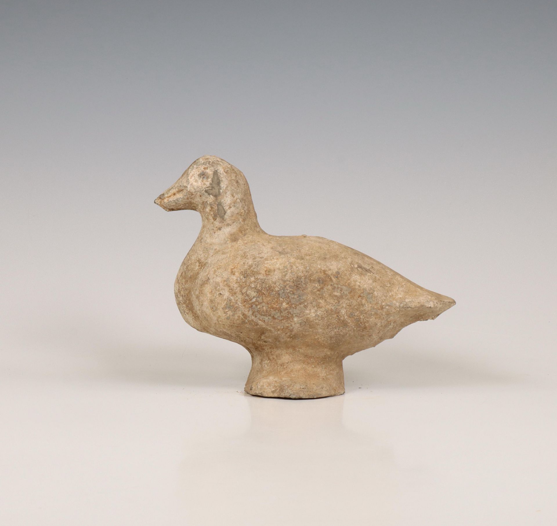 China, grey pottery model of a duck, probably Han dynasty (206 BC-220 AD), - Image 2 of 6