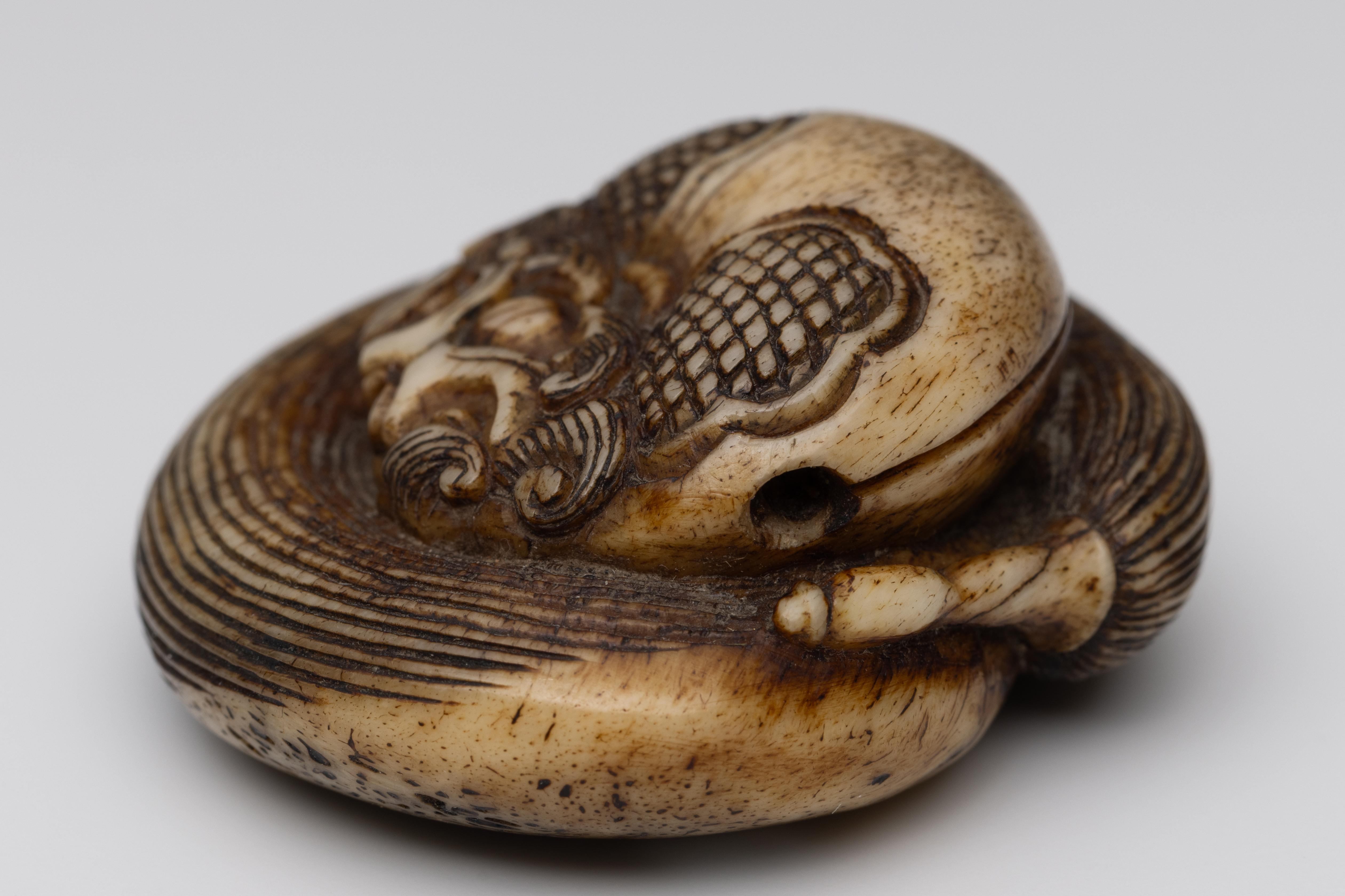 Japan, bone netsuke, Meiji period; - Image 3 of 4