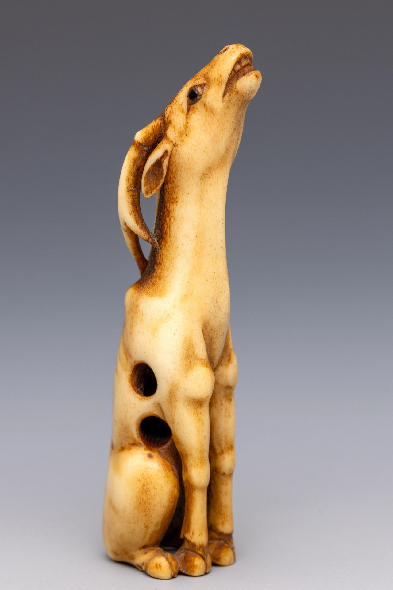 Japan stag-horn netsuke, Edo/Meiji period; - Bild 3 aus 3