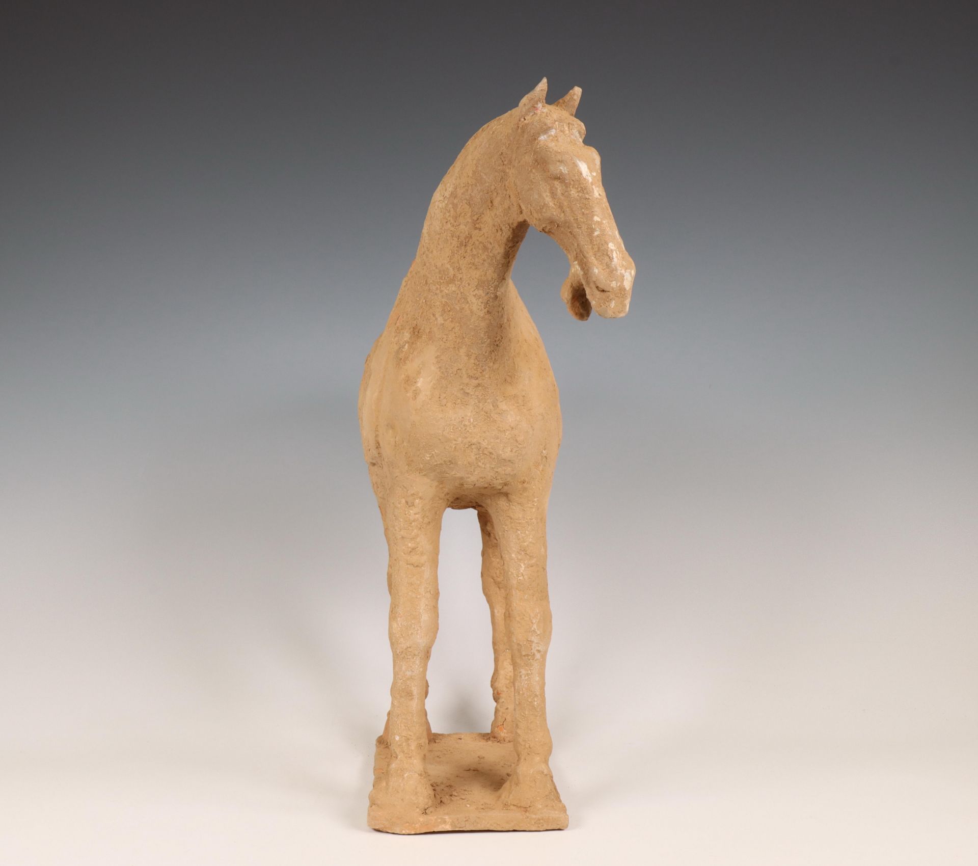 China, pottery model of a horse, probably Tang dynasty (618-906), - Bild 3 aus 4