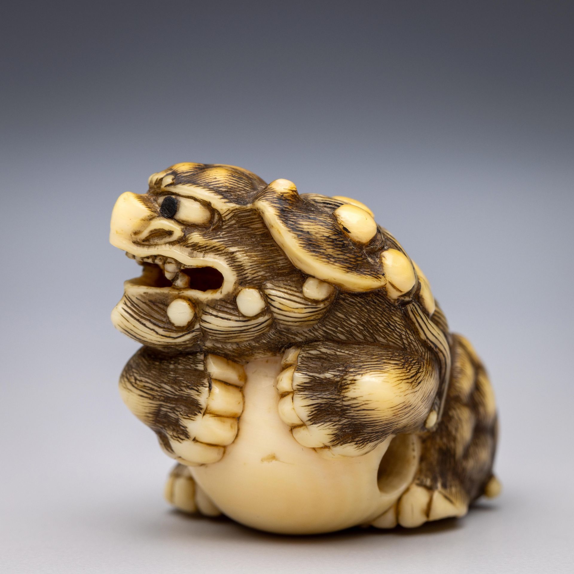 Japan, an ivory netsuke, Edo period (1603-1868), late 18th/ 19th century, - Bild 2 aus 4