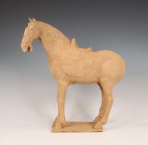 China, pottery model of a horse, probably Tang dynasty (618-906),