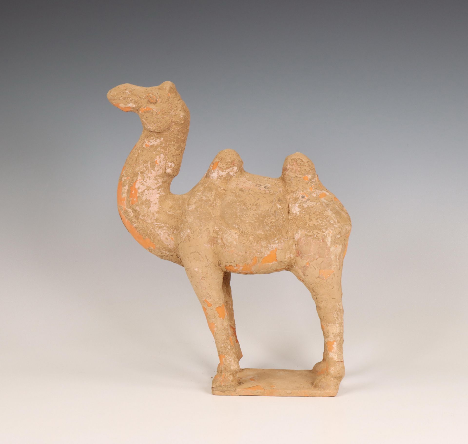 China, pottery model of a camel, probably Tang dynasty (618-906), - Bild 2 aus 5