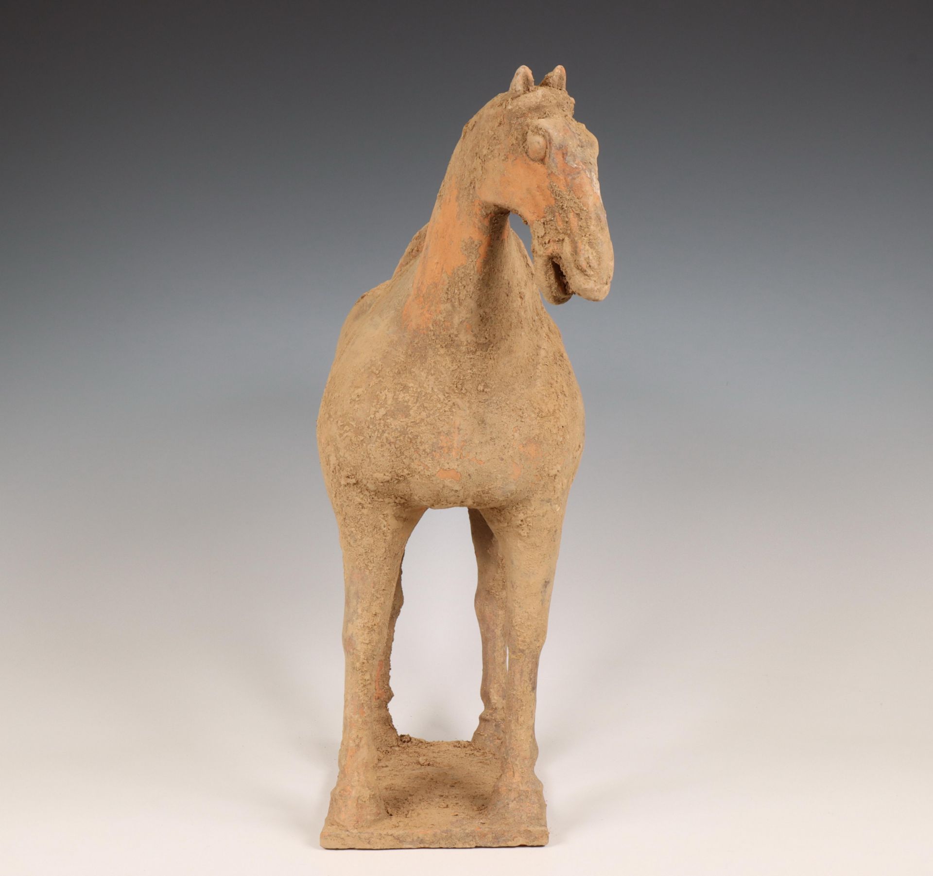 China, pottery model of a horse, probably Tang dynasty (618-906), - Image 3 of 4