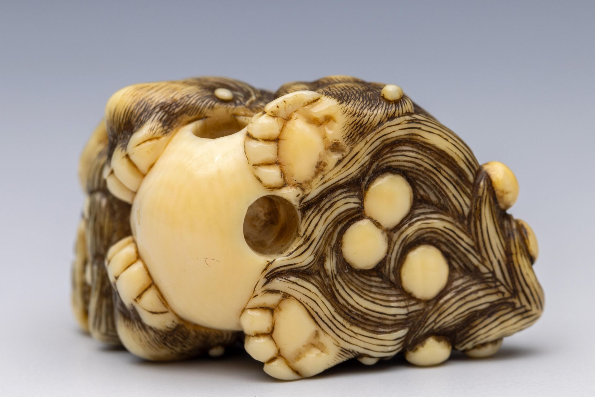 Japan, an ivory netsuke, Edo period (1603-1868), late 18th/ 19th century, - Bild 3 aus 4