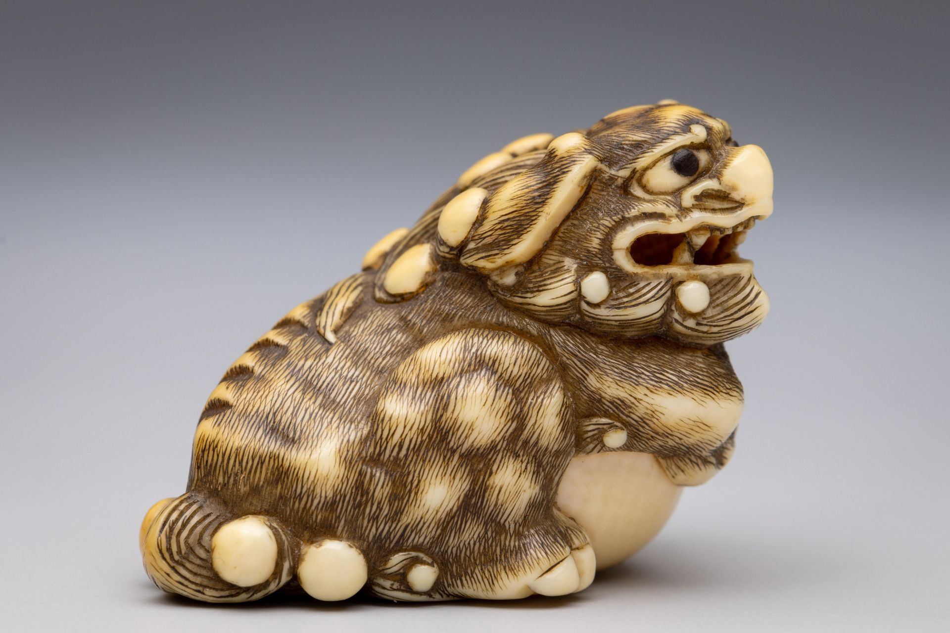 Japan, an ivory netsuke, Edo period (1603-1868), late 18th/ 19th century, - Bild 4 aus 4