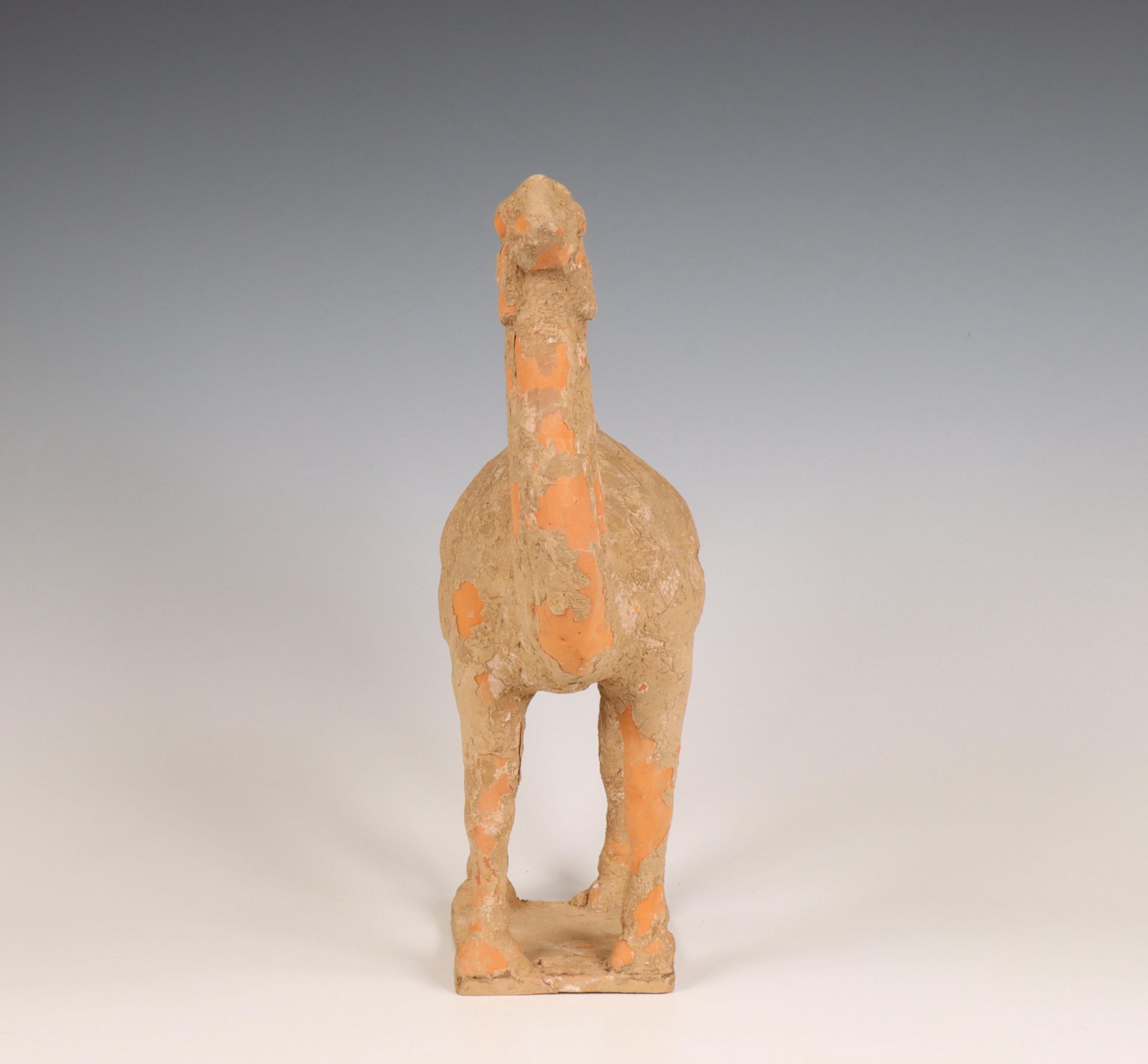 China, pottery model of a camel, probably Tang dynasty (618-906), - Bild 5 aus 5