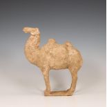 China, pottery model of a camel, probably Tang dynasty (618-906),