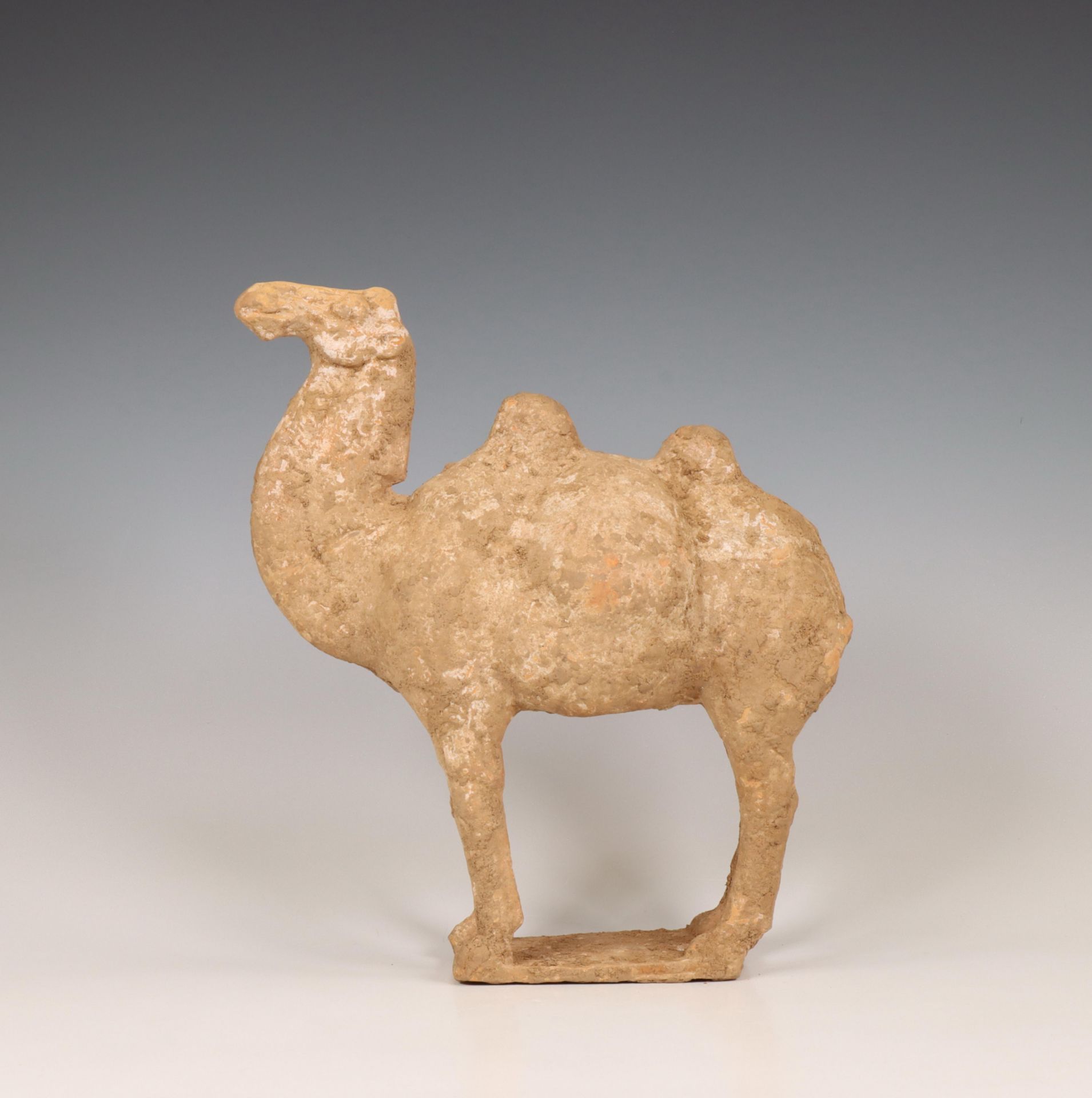 China, pottery model of a camel, probably Tang dynasty (618-906),