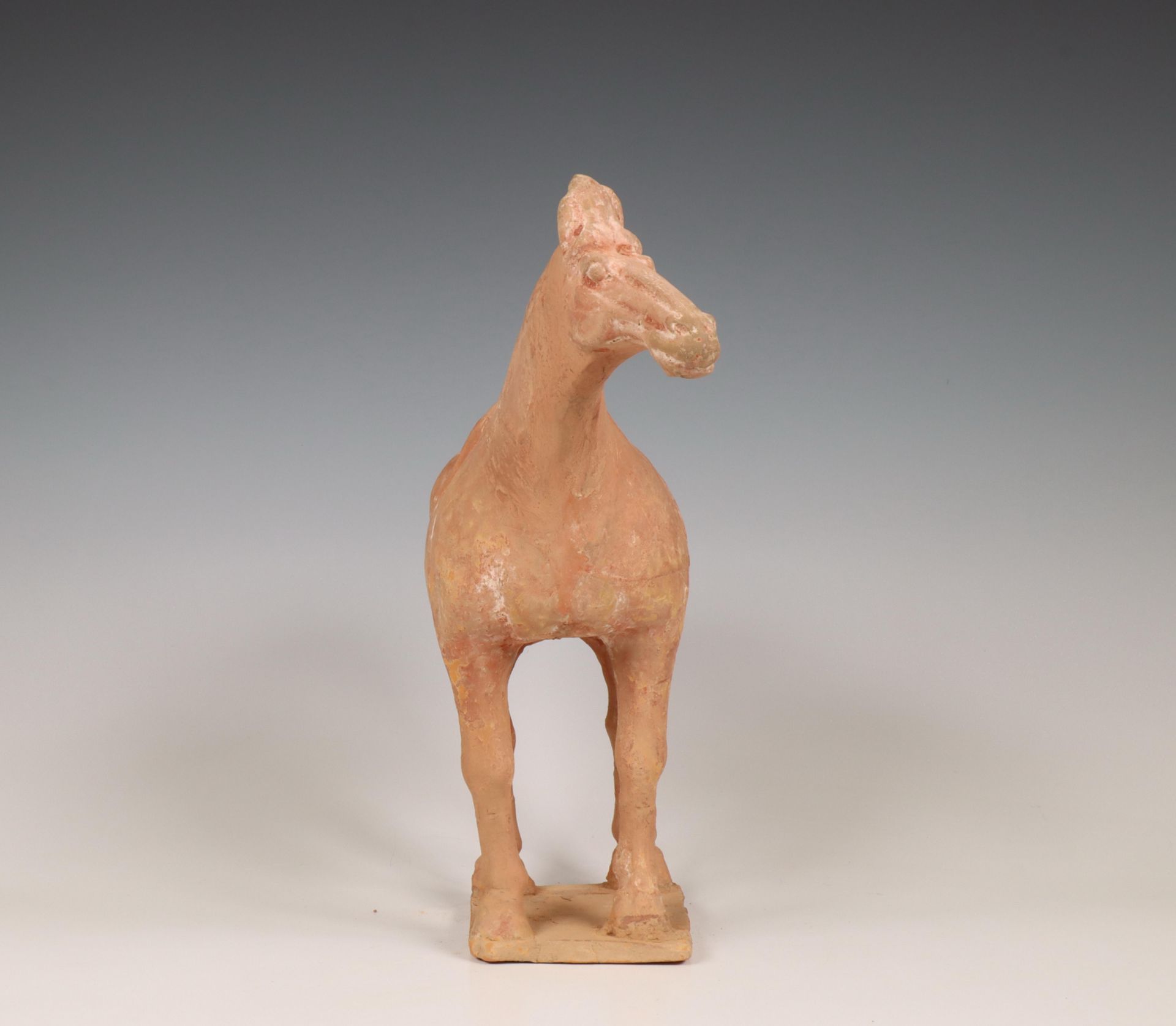 China, pottery model of a horse, probably Tang dynasty (618-906), - Bild 3 aus 6