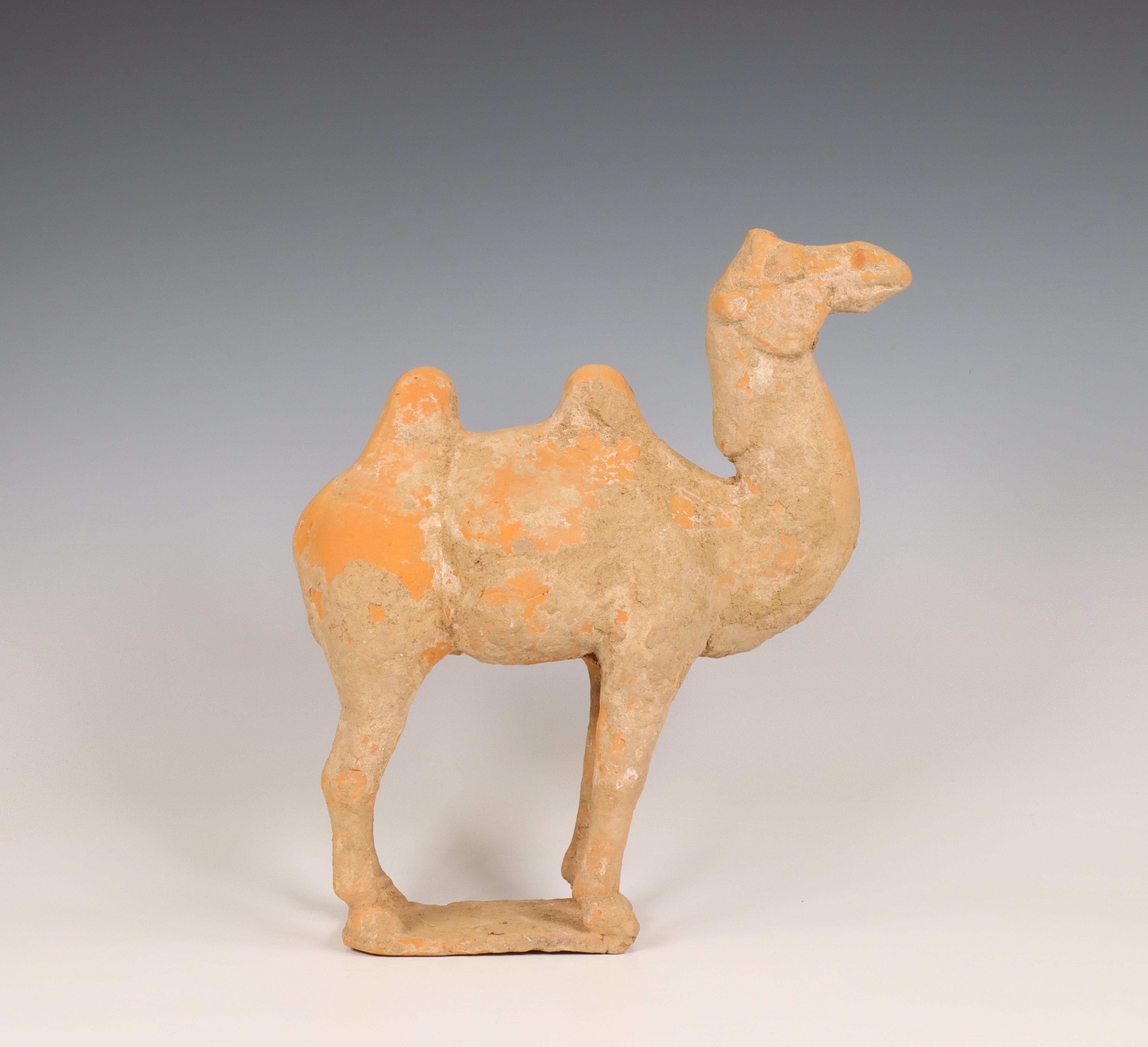 China, pottery model of a camel, probably Tang dynasty (618-906),