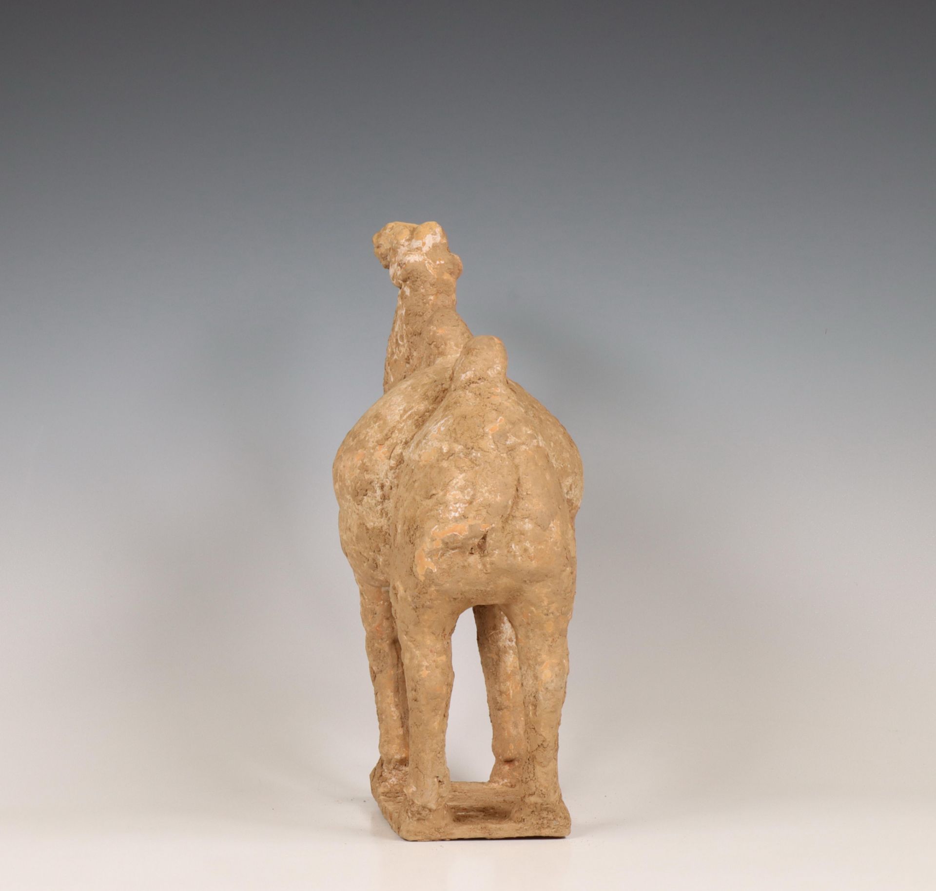 China, pottery model of a camel, probably Tang dynasty (618-906), - Bild 6 aus 6