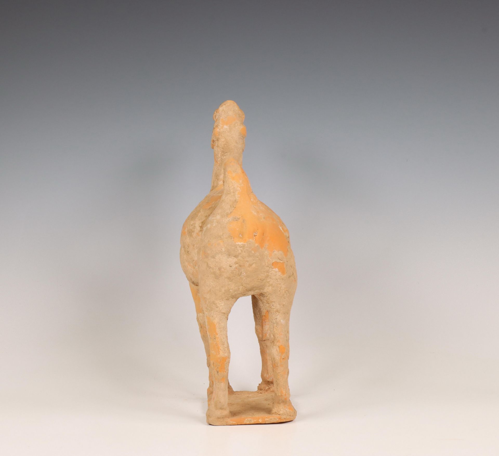 China, pottery model of a camel, probably Tang dynasty (618-906), - Bild 3 aus 6