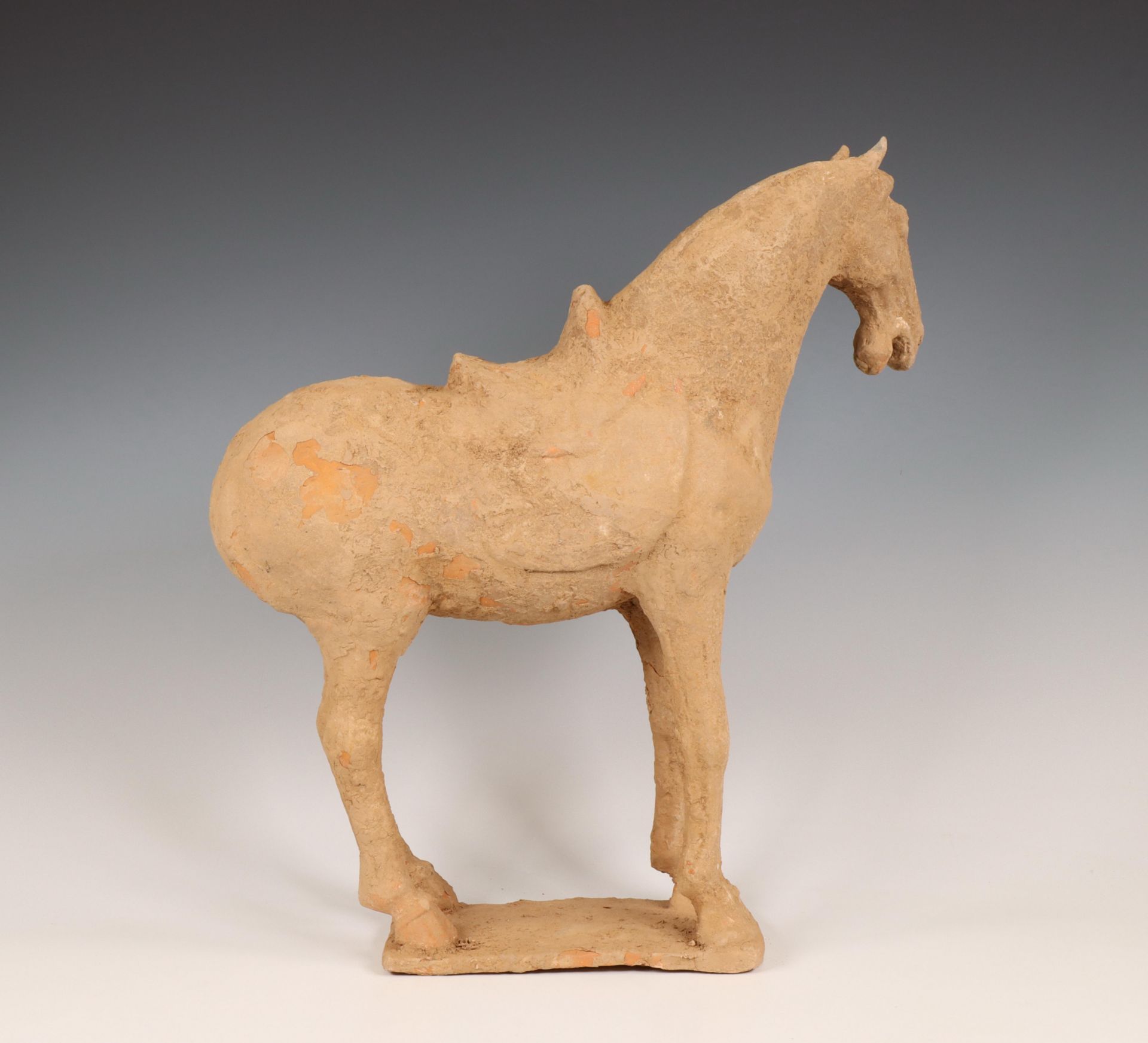 China, pottery model of a horse, probably Tang dynasty (618-906), - Bild 2 aus 4