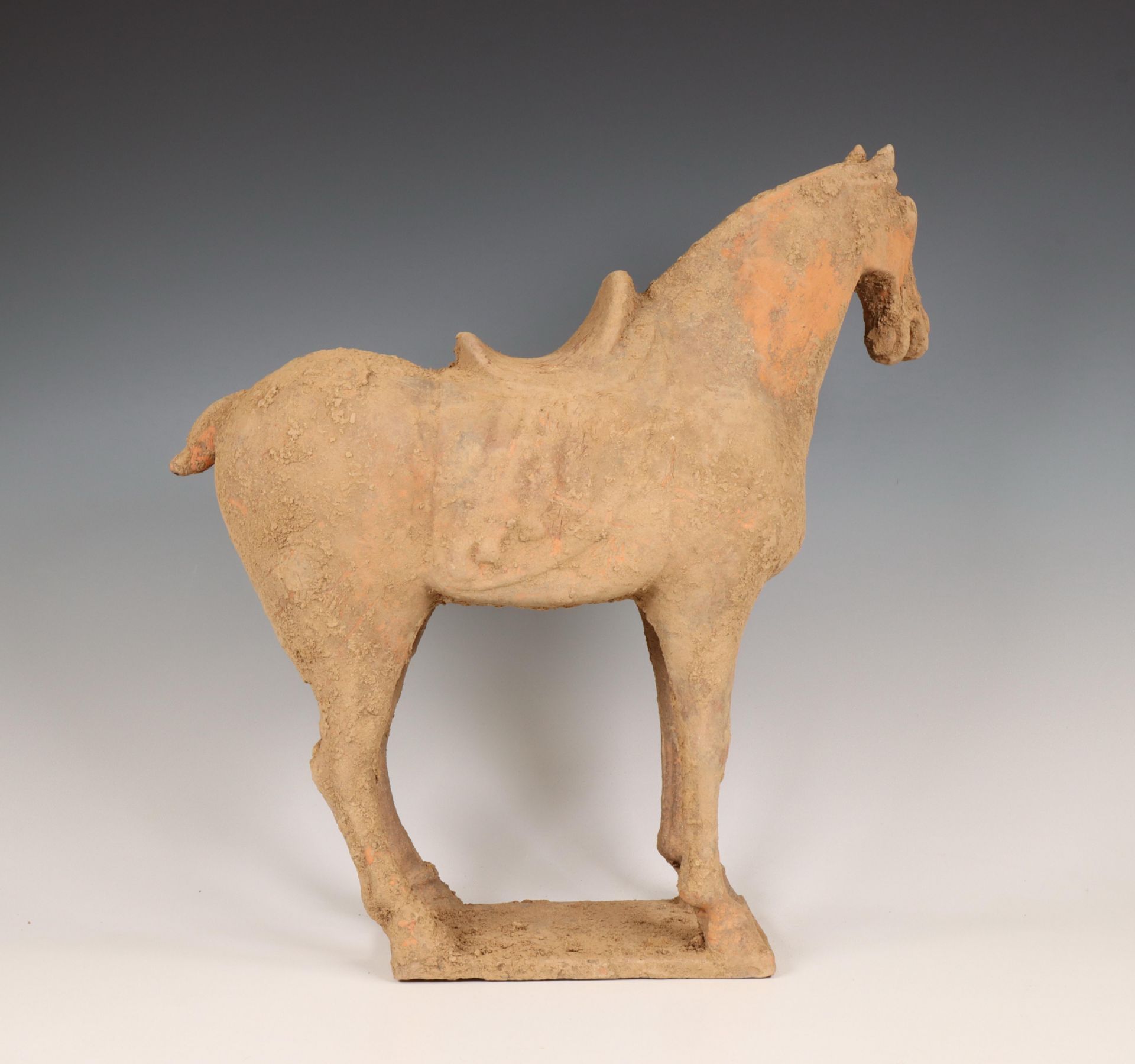 China, pottery model of a horse, probably Tang dynasty (618-906), - Bild 2 aus 4