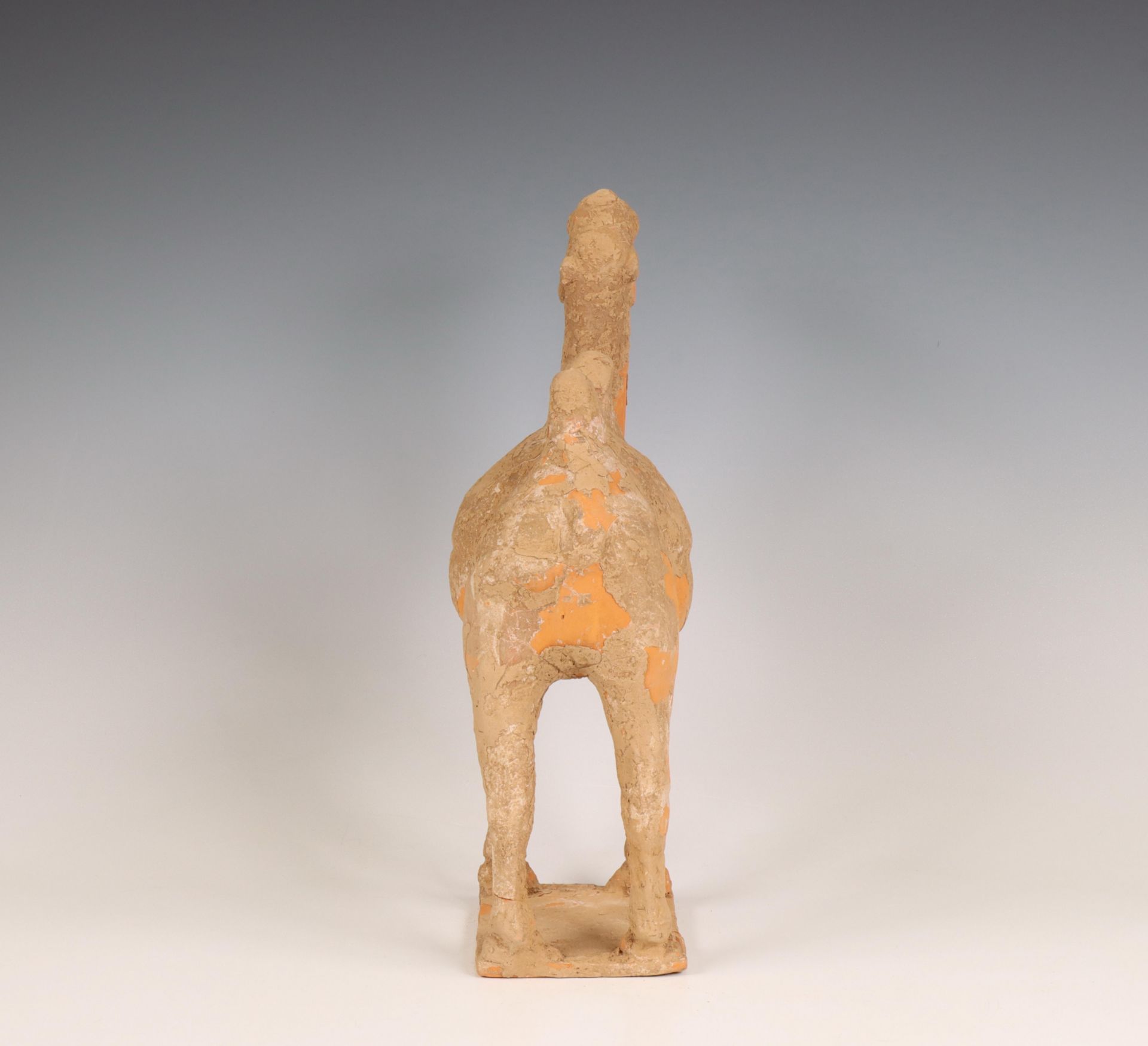 China, pottery model of a camel, probably Tang dynasty (618-906), - Bild 3 aus 5