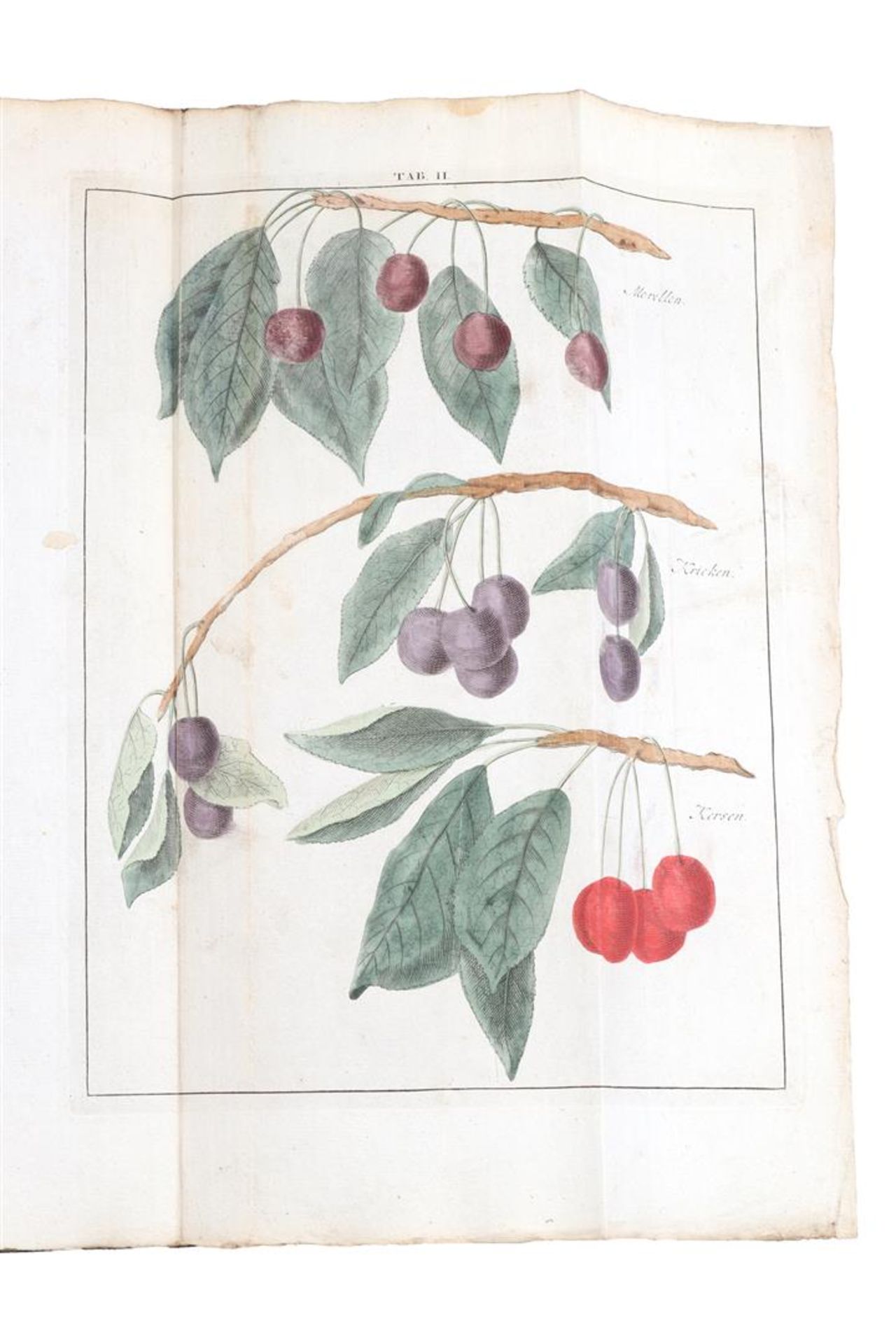 Book by Johann Hermannn Knoop,1790 - Bild 6 aus 7