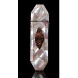 Mother of pearl glasses case