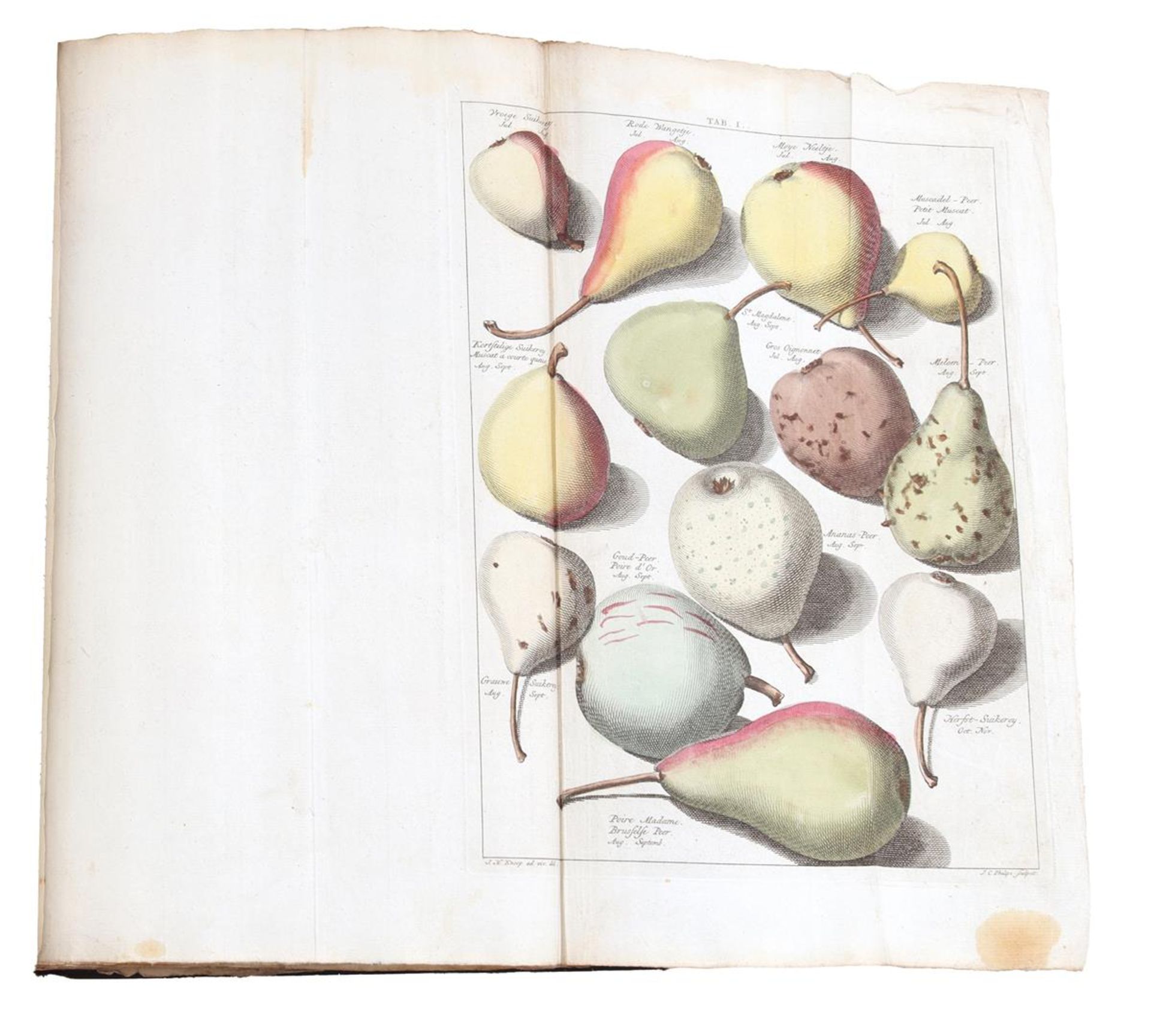 Book by Johann Hermannn Knoop,1790 - Bild 3 aus 7