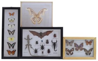 4 display cases with animals