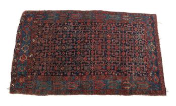 Hand-knotted oriental carpet