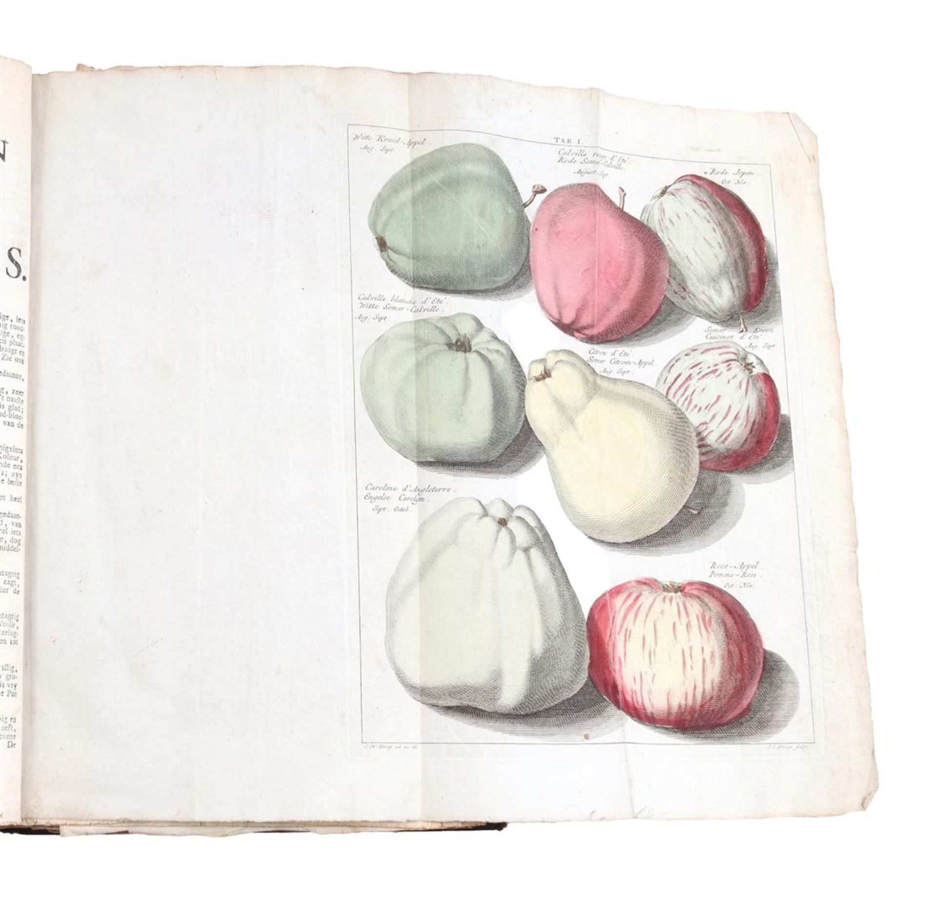 Book by Johann Hermannn Knoop,1790 - Bild 2 aus 7