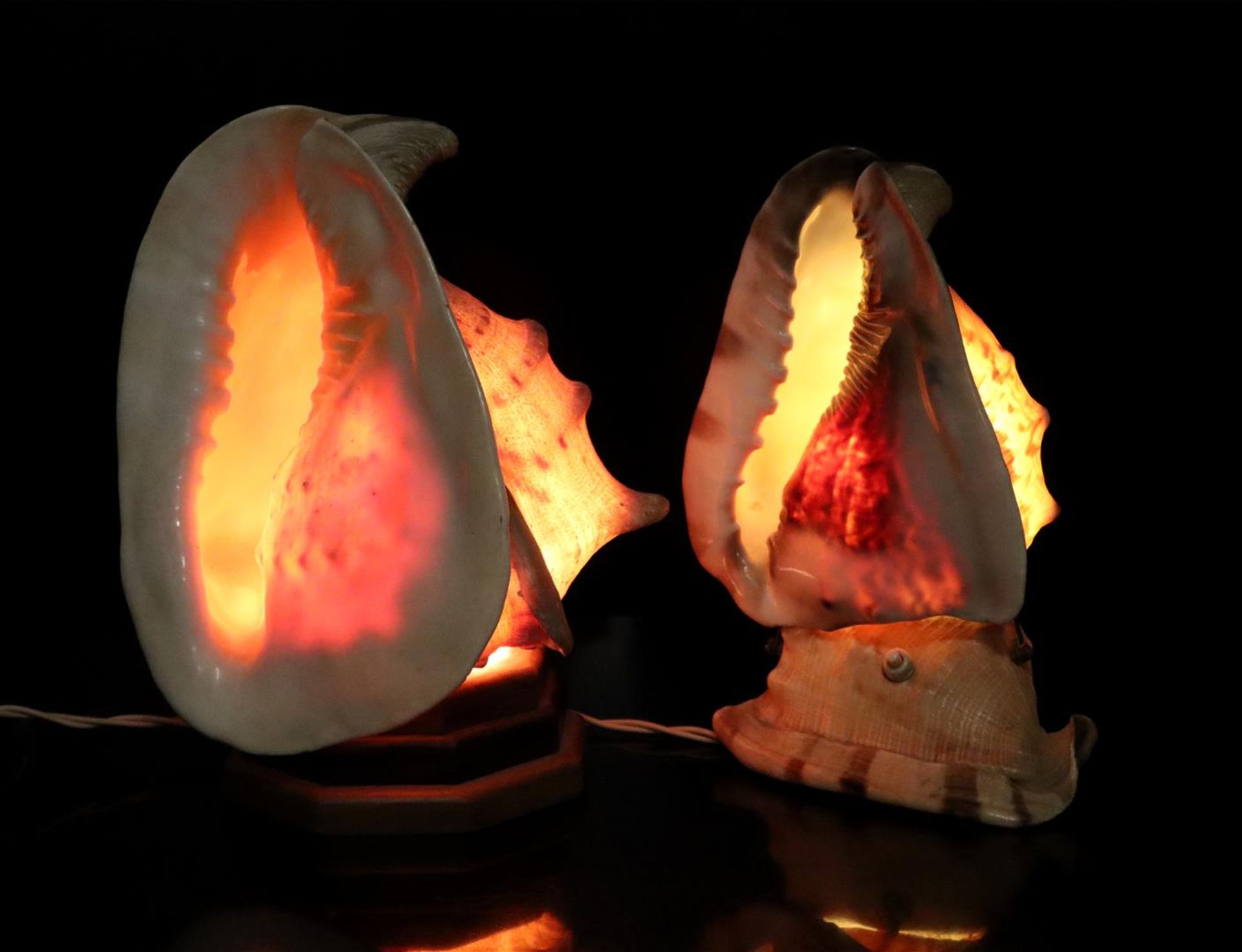 2 lamps made from 3 shells - Bild 3 aus 3
