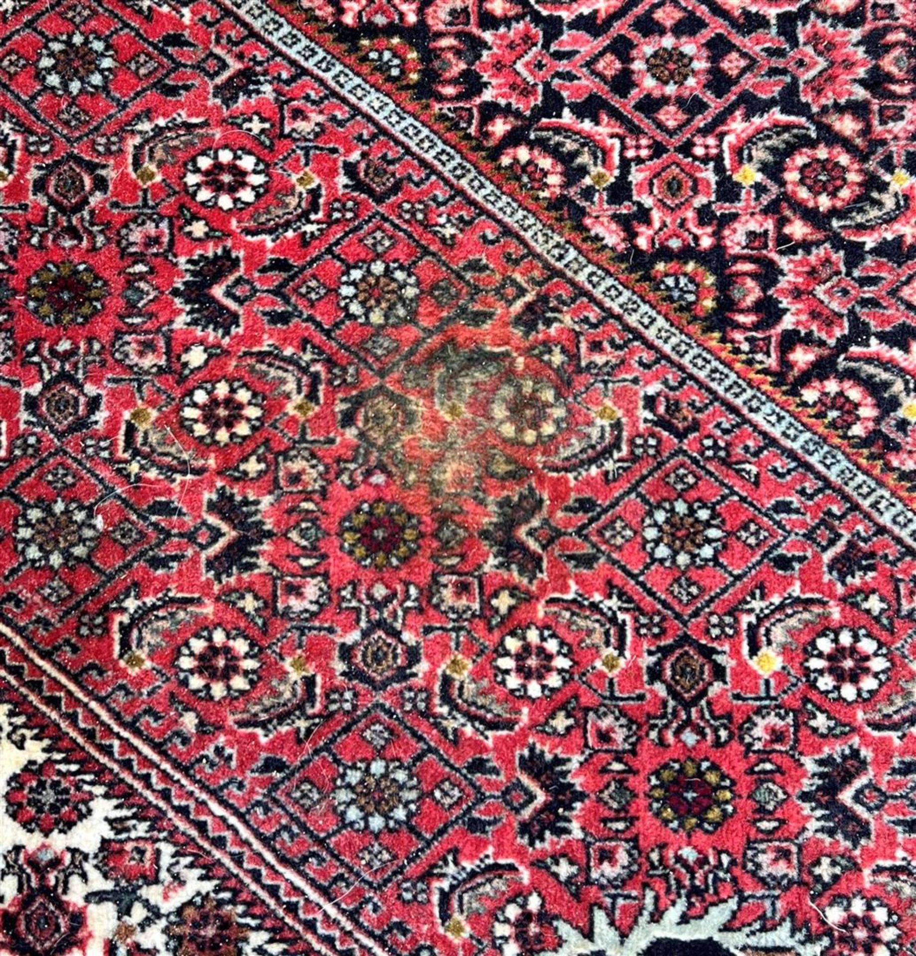 Hand-knotted wool carpet, Bidjar - Image 3 of 4