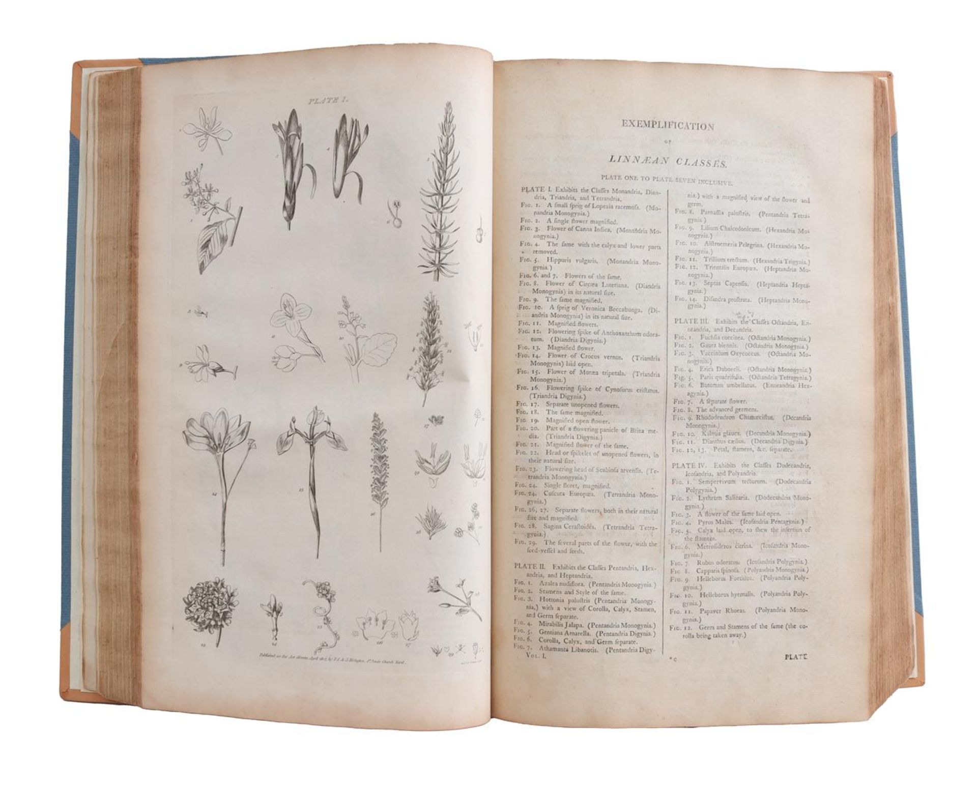 "The Gardener's and Botanist's Dictionary" - Bild 2 aus 2