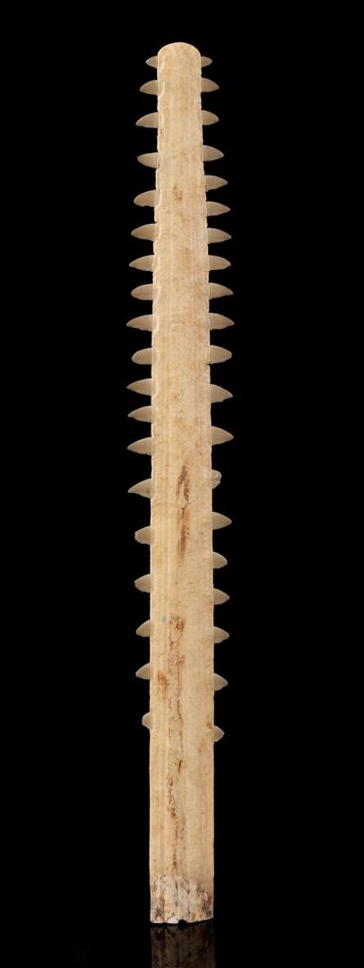 Sawfish saw