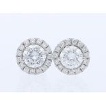 Earrings Diamond 750 / 18 White gold with IGI Report