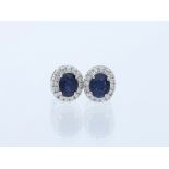 Earrings Sapphire 585 / 14 White gold Diamond