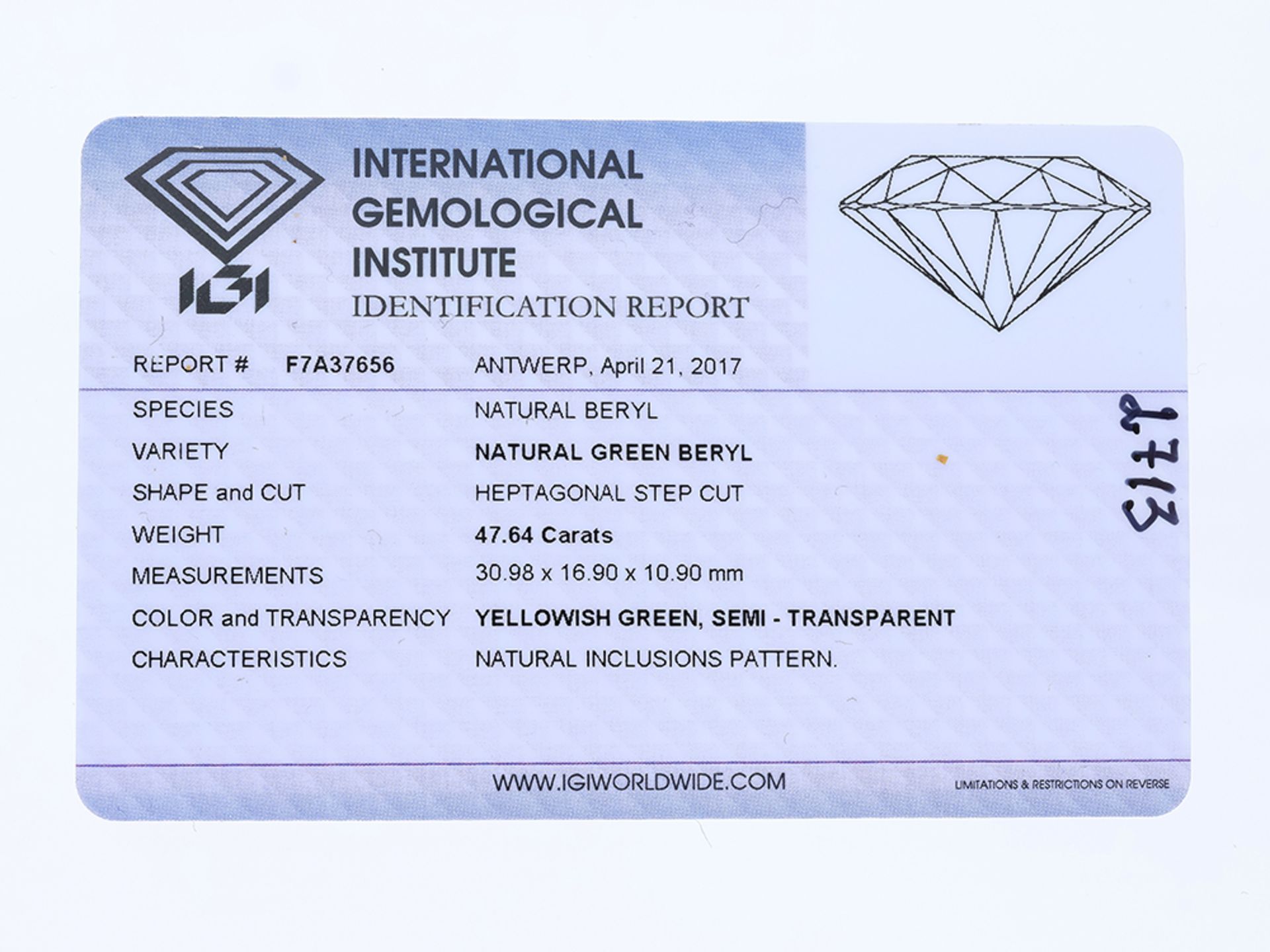 Beryll Edelstein ca. 47,64 Karat mit IGI Zertifikat - Bild 2 aus 2