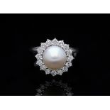 Ring Akoya Pearl 585 / 14 White Gold Diamond