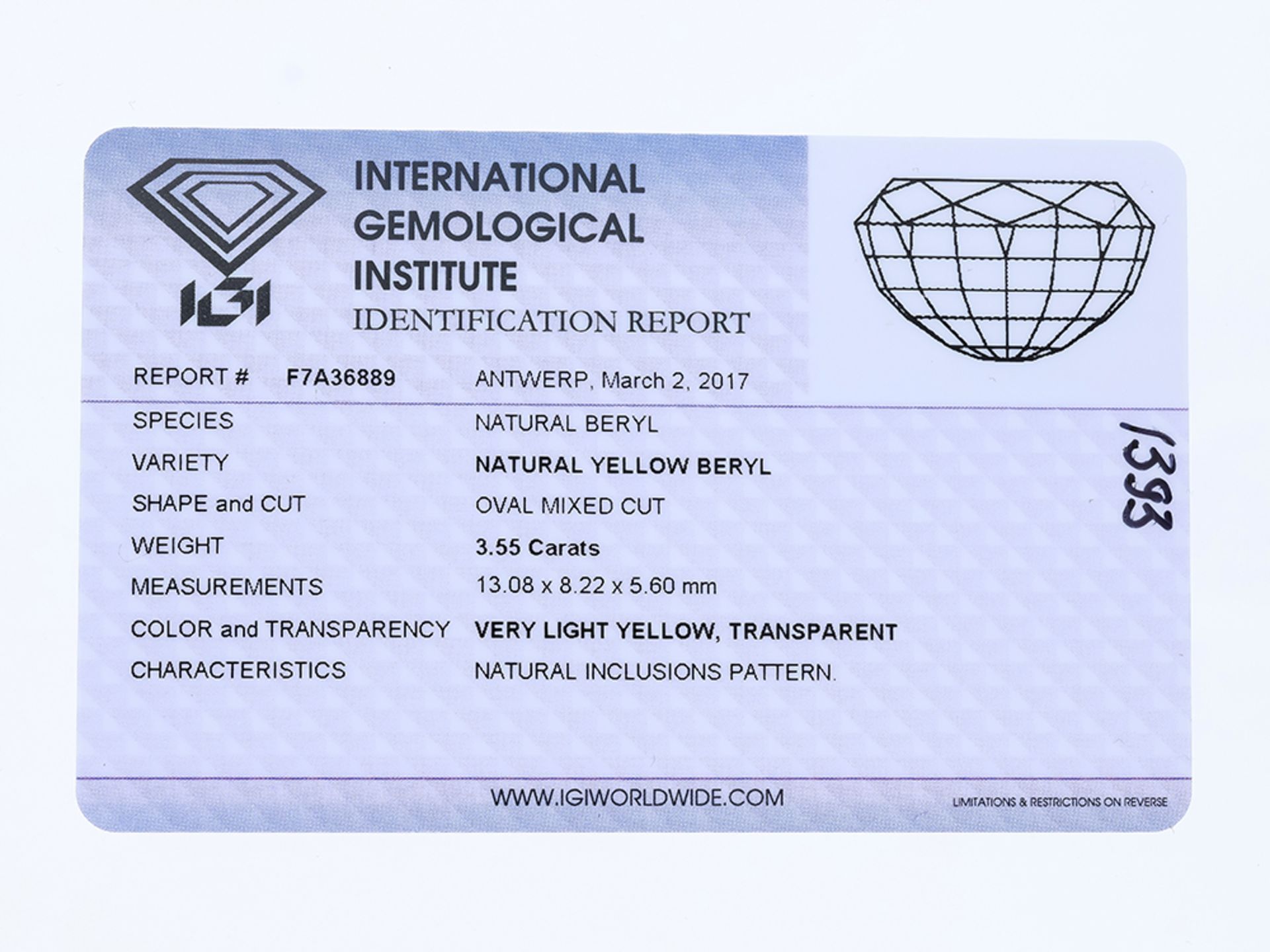 Beryll Edelstein ca. 3,55 Karat mit IGI Zertifikat - Bild 2 aus 2