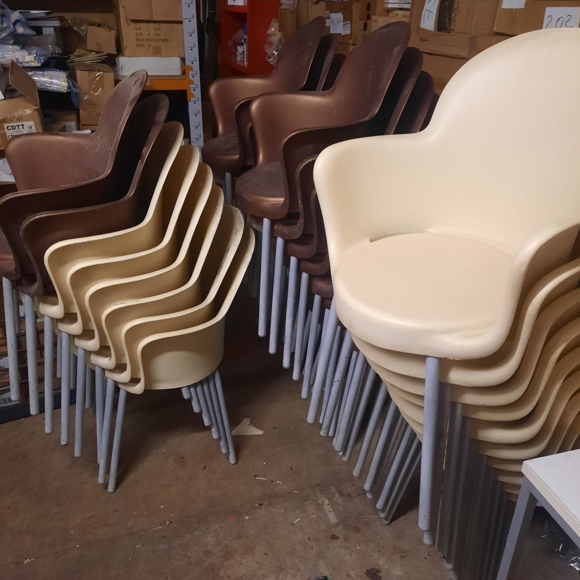 X 10 CREAM STABLE CHAIRS IDEAL FOR WEDDING & OTHER ALL OCCASSIONS - SALEROOM AT THE BACK.