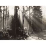 Fotografie. – Josef Sudek