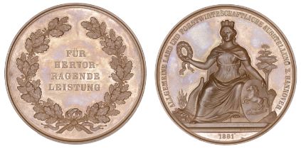 HANNOVER, Agriculture and Forestry Exhibition, 1881, a bronze medal by F. Brehmer, city godd...