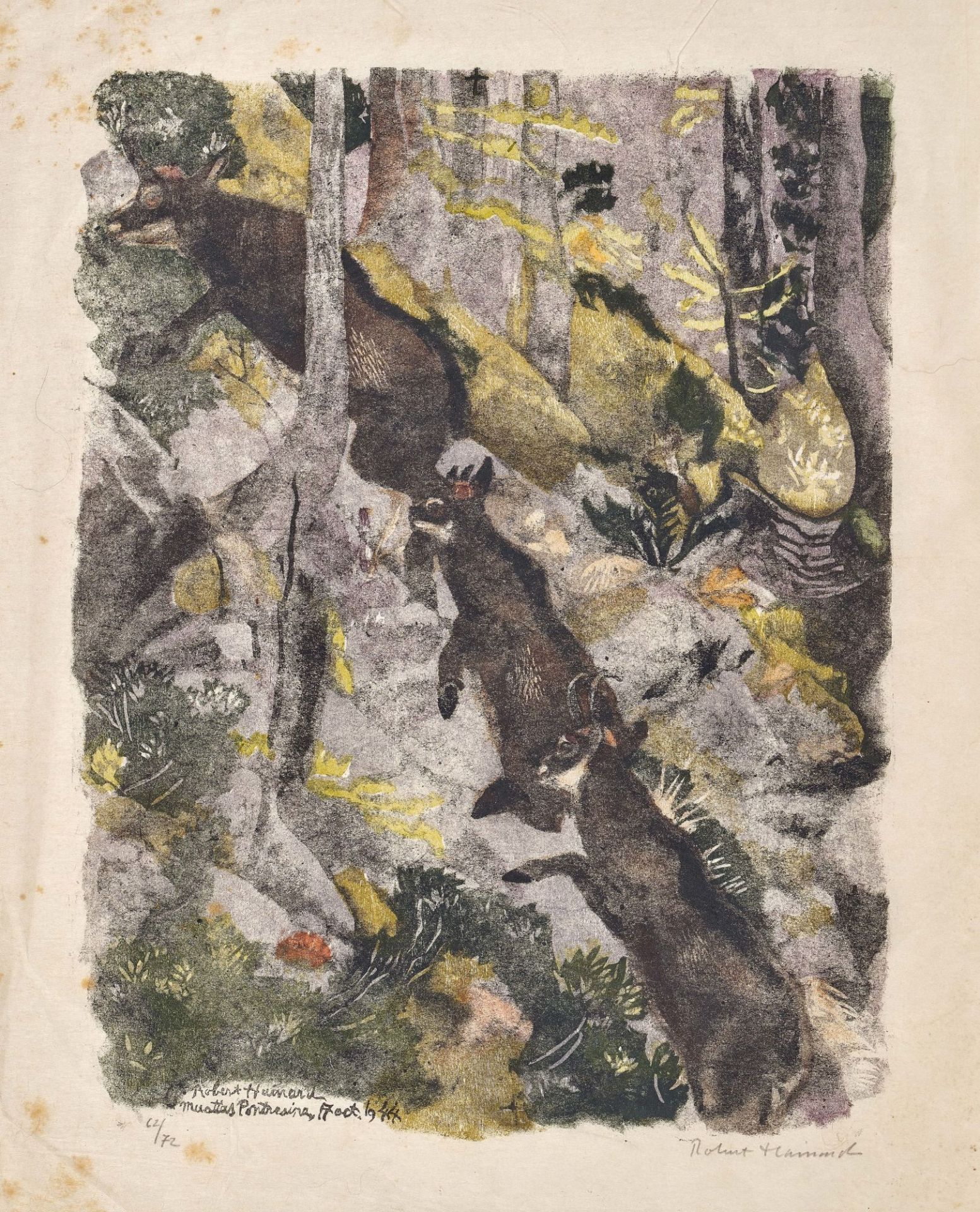 HAINARD, ROBERT: "Chamois grimpant en fôret".