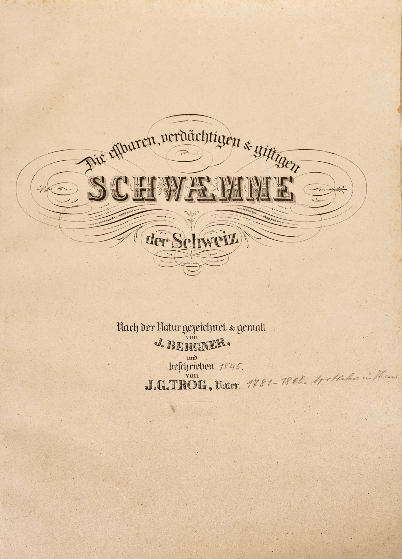 BERGNER, JACOB-CHRISTIAN: Jakob Gabriel Trog: "Die essbaren, verdächtigen & giftigen Schwaemme der